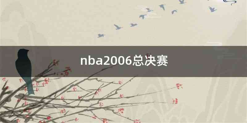 nba2006总决赛