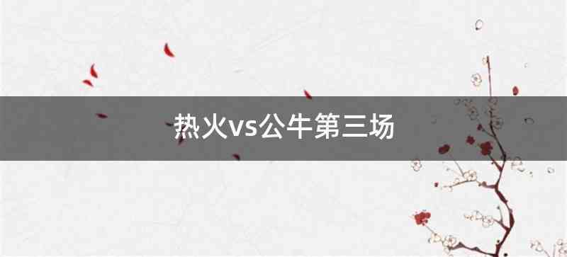 热火vs公牛第三场