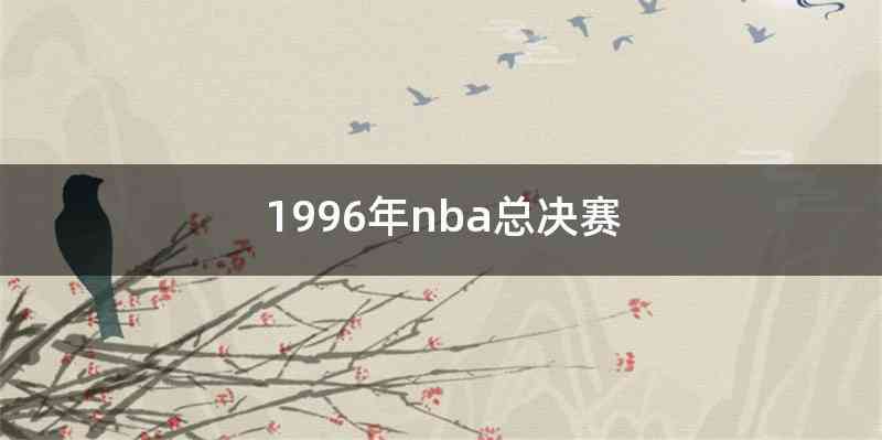 1996年nba总决赛