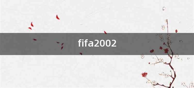 fifa2002