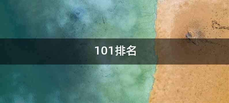 101排名