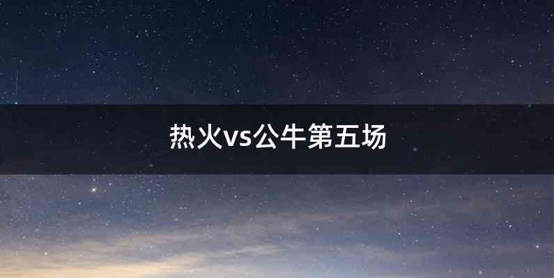 热火vs公牛第五场