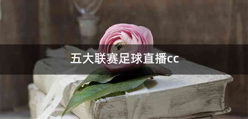 五大联赛足球直播cc