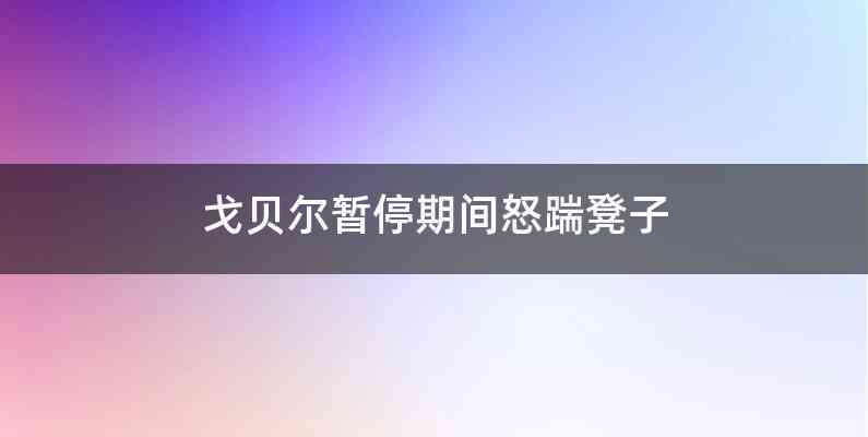 戈贝尔暂停期间怒踹凳子