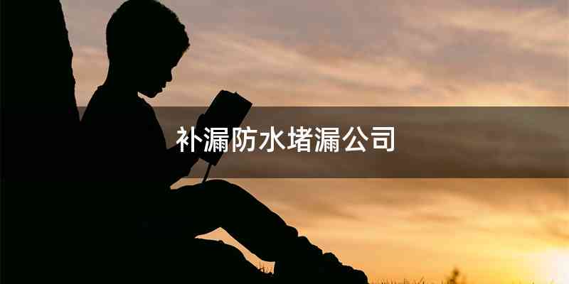 补漏防水堵漏公司