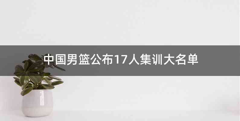 中国男篮公布17人集训大名单
