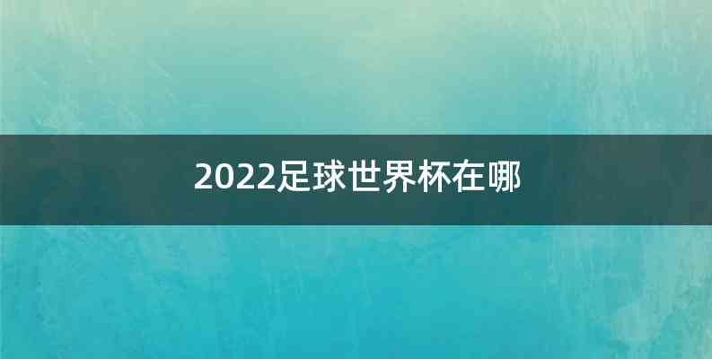 2022足球世界杯在哪