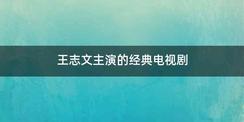 王志文主演的经典电视剧