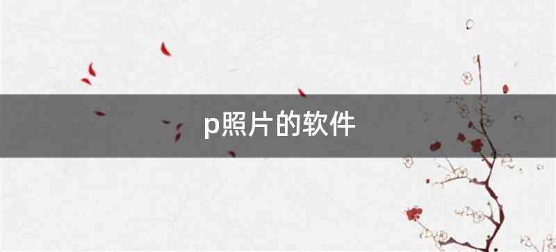 p照片的软件