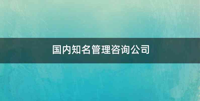 国内知名管理咨询公司