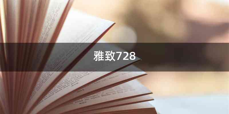 雅致728