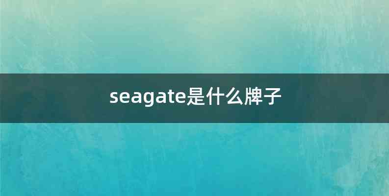 seagate是什么牌子