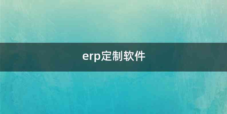 erp定制软件