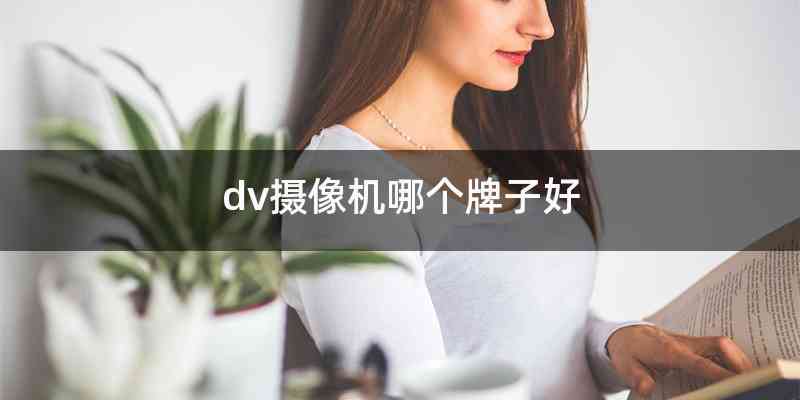 dv摄像机哪个牌子好