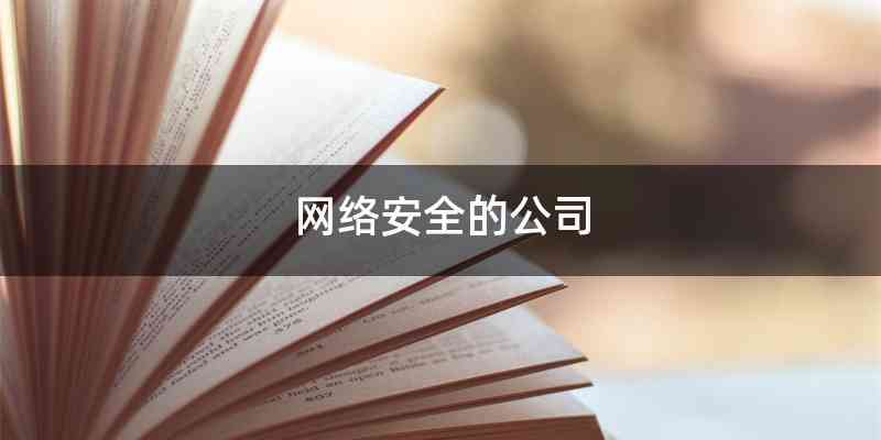 网络安全的公司