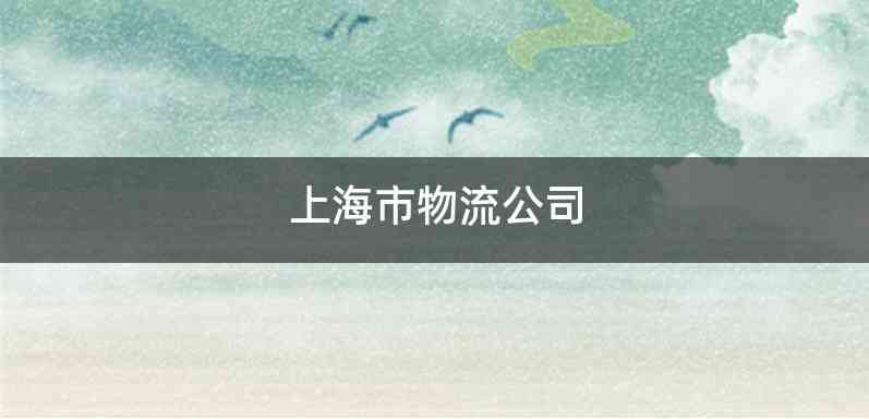 上海市物流公司