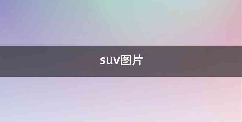 suv图片