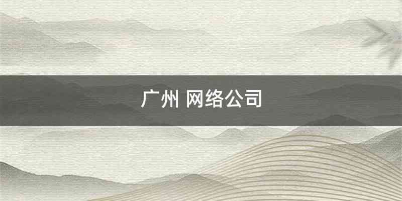 广州 网络公司