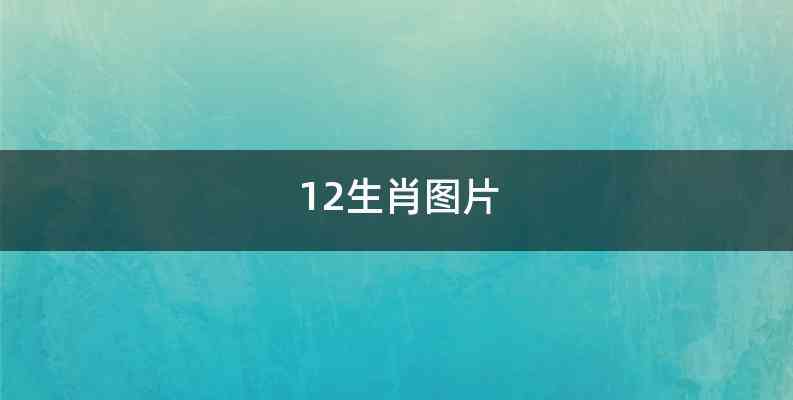 12生肖图片