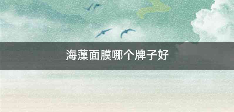 海藻面膜哪个牌子好