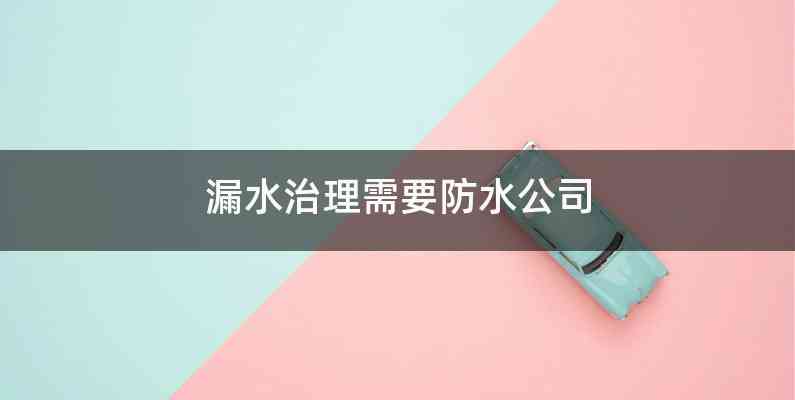 漏水治理需要防水公司