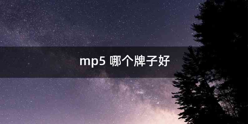 mp5 哪个牌子好