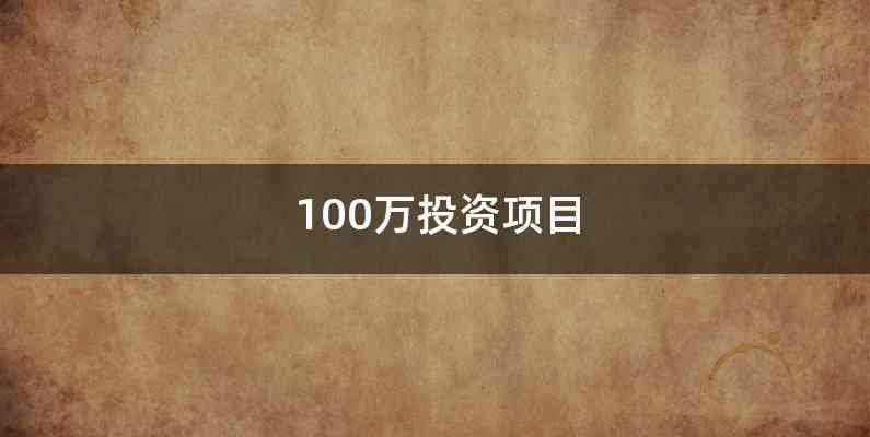 100万投资项目