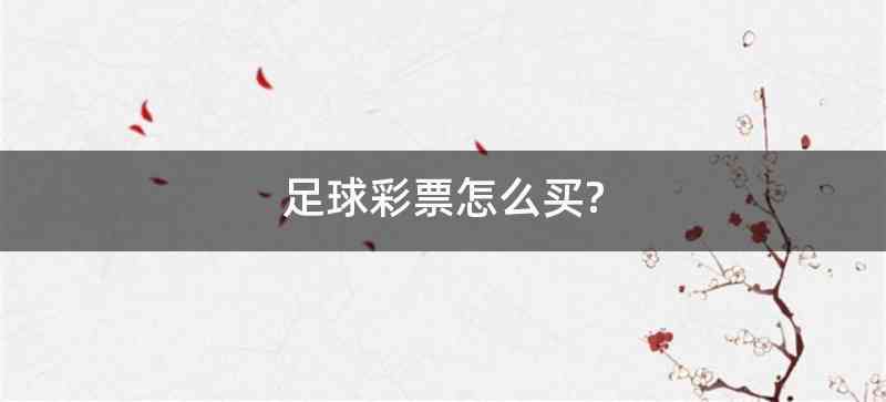 足球彩票怎么买?