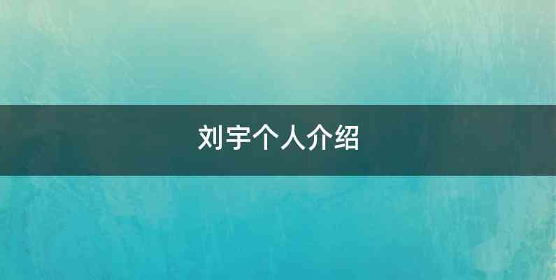 刘宇个人介绍