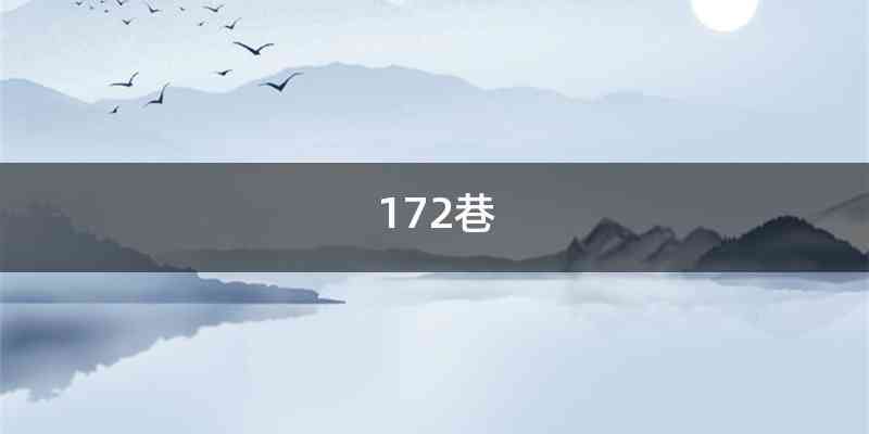 172巷