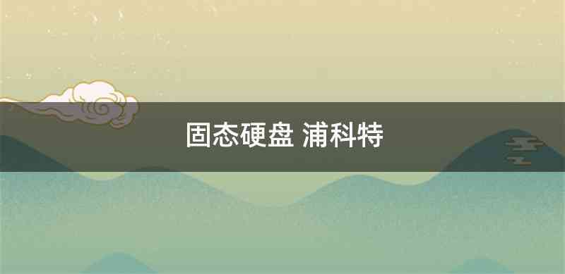 固态硬盘 浦科特