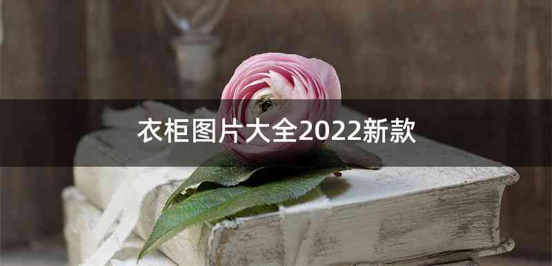 衣柜图片大全2022新款