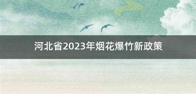 河北省2023年烟花爆竹新政策