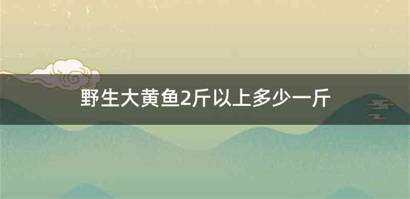 野生大黄鱼2斤以上多少一斤