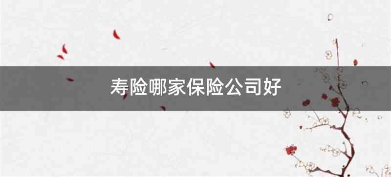 寿险哪家保险公司好