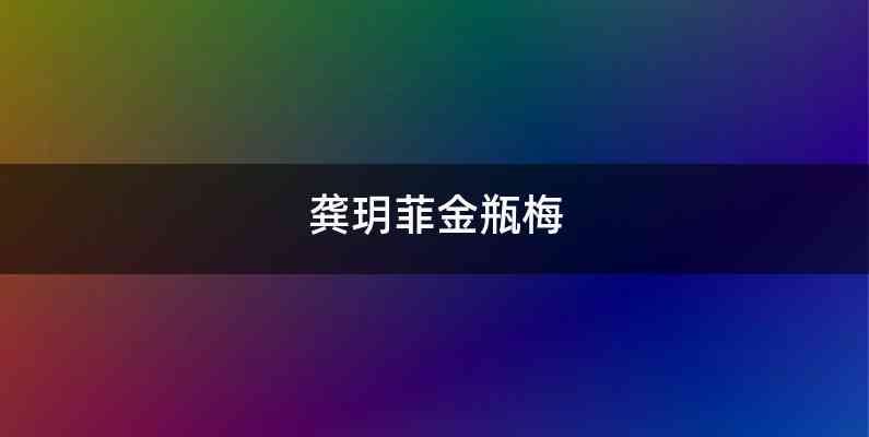 龚玥菲金瓶梅