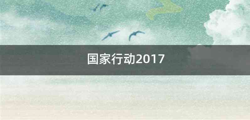 国家行动2017