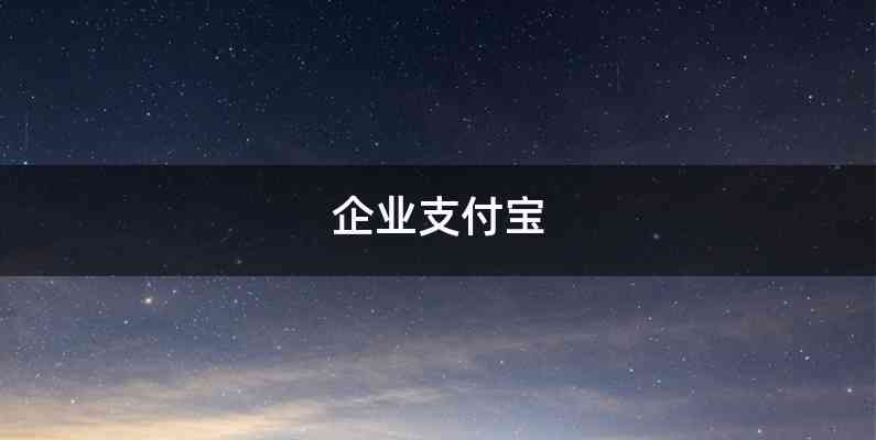 企业支付宝