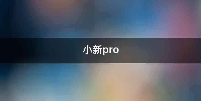 小新pro