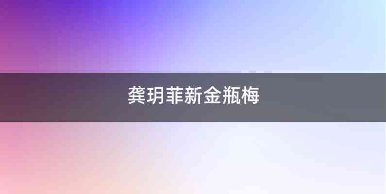 龚玥菲新金瓶梅