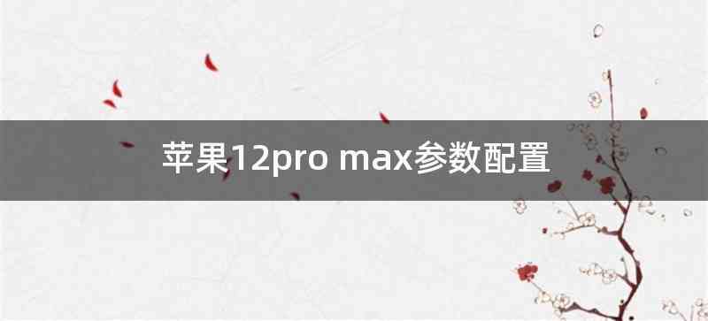 苹果12pro max参数配置