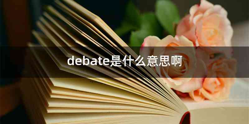 debate是什么意思啊