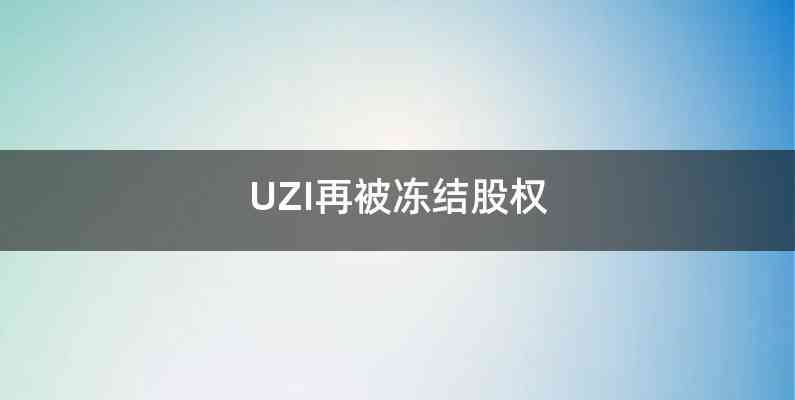 UZI再被冻结股权