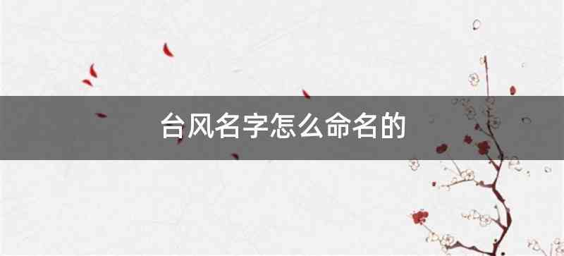 台风名字怎么命名的