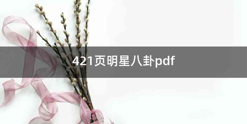 421页明星八卦pdf