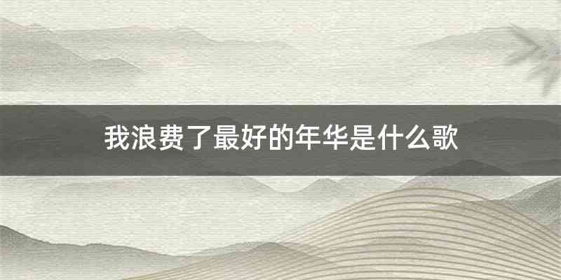 我浪费了最好的年华是什么歌