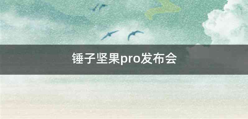 锤子坚果pro发布会