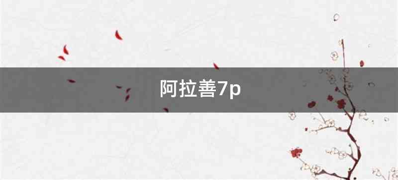 阿拉善7p