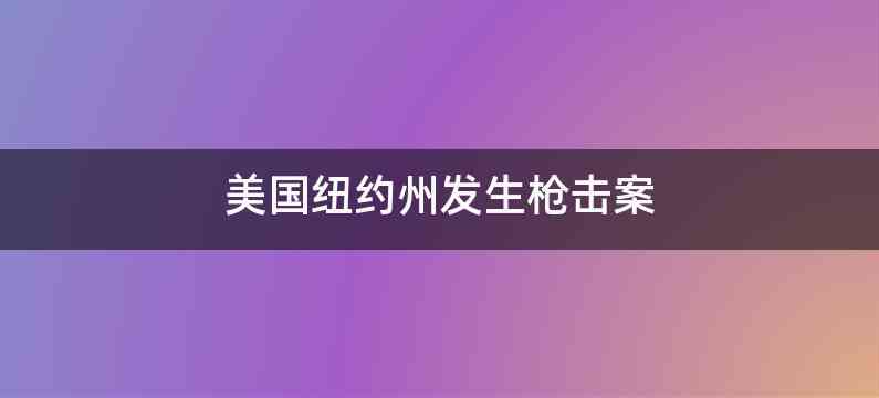 美国纽约州发生枪击案