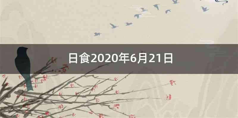 日食2020年6月21日